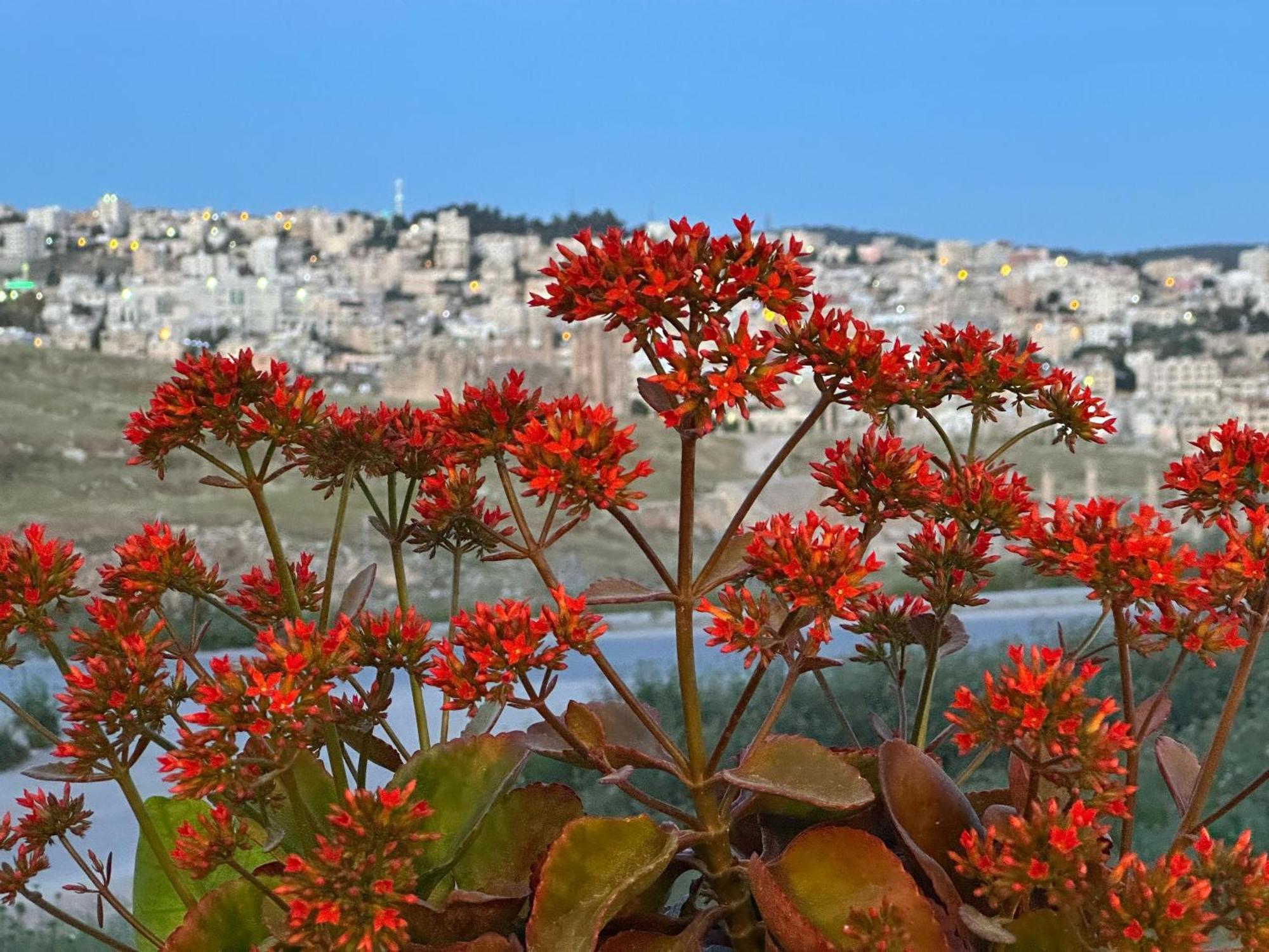 Jerash City View จีราช ภายนอก รูปภาพ